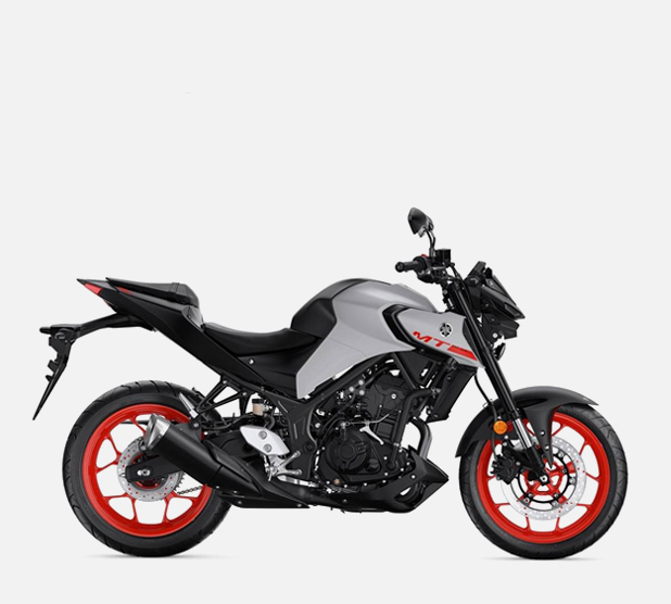 example photo of a standard motorcycle