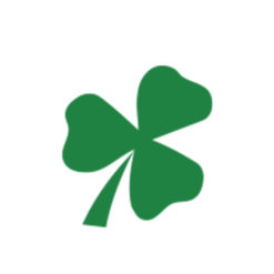 12 Month Extended Service Plan