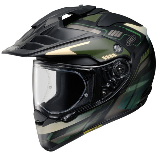 Shoei Hornet X2 Invigorate Helmet
