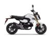Stock image of 2025 Honda  Grom Base product