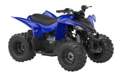 2025 Yamaha  Yamaha YFZ 50
