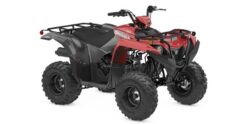 2025 Yamaha  Yamaha Grizzly 110