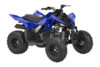 Stock image of 2025 Yamaha  Yamaha Raptor 110 product