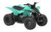 Stock image of 2025 Yamaha  Yamaha YFZ 50 product