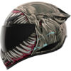 Stock image of ICON Domain Grand Maw Helmet product