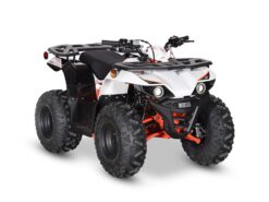 2025 Kayo  Bull 125 EFI Base