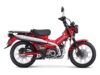 Stock image of 2025 Honda  Trail125 Base product