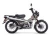 Stock image of 2025 Honda  Trail125 Base product