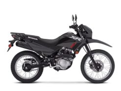 2025 Honda  XR150L Base
