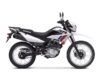 Stock image of 2025 Honda  XR150L Base product