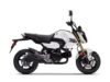 Stock image of 2026 Honda  Grom ABS product