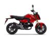 Stock image of 2026 Honda  Grom Base product