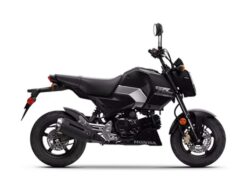 2026 Honda  Grom SP