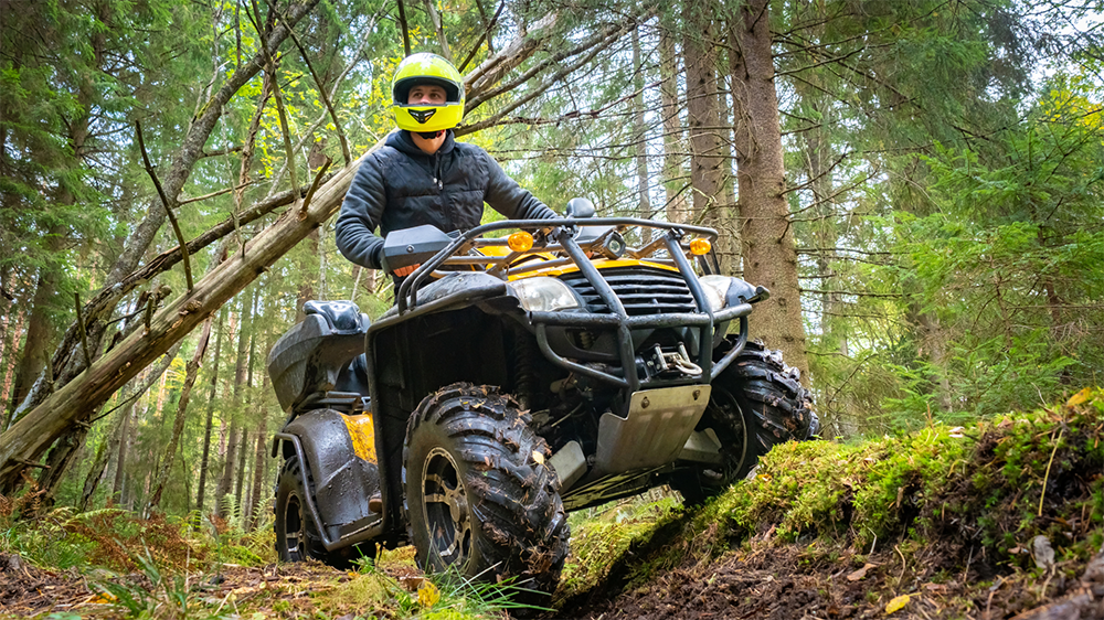 atv on a forest trail