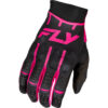 Stock image of Fly Racing Evolution DST Gloves product