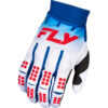 Stock image of Fly Racing Evolution DST Gloves product