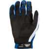 Stock image of Fly Racing Evolution DST Gloves product
