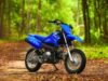 Stock image of 2026 Yamaha  TTR50E Base product