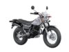 Stock image of 2026 Yamaha  TW200 Base product