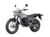 Stock image of 2026 Yamaha  TW200 Base product