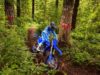 Stock image of 2026 Yamaha  YZ125X Base product