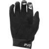 Stock image of Fly Racing Evolution DST Gloves product