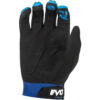 Stock image of Fly Racing Evolution DST Gloves product