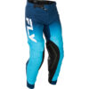Stock image of Fly Racing Evolution DST Pants product