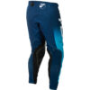 Stock image of Fly Racing Evolution DST Pants product