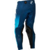 Stock image of Fly Racing Evolution DST Pants product
