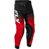 Stock image of Fly Racing Evolution DST Pants product