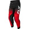Stock image of Fly Racing Evolution DST Pants product