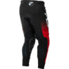 Stock image of Fly Racing Evolution DST Pants product