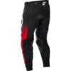 Stock image of Fly Racing Evolution DST Pants product