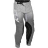 Stock image of Fly Racing Evolution DST Pants product