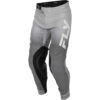 Stock image of Fly Racing Evolution DST Pants product