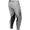 Stock image of Fly Racing Evolution DST Pants product