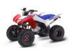 Stock image of 2026 Honda  TRX250X Base product