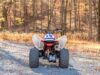 Stock image of 2026 Honda  TRX250X Base product
