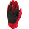Stock image of Fly Racing Youth F-16 Gloves product
