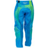 Stock image of Fly Racing Youth F-16 Pants product