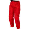 Stock image of Fly Racing Youth F-16 Pants product