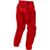 Stock image of Fly Racing Youth F-16 Pants product