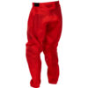 Stock image of Fly Racing Youth F-16 Pants product