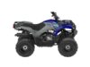 Stock image of 2026 Yamaha  Grizzly 110 Base product