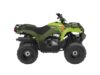 Stock image of 2026 Yamaha  Grizzly 110 Base product