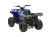 Stock image of 2026 Yamaha  Grizzly 110 Base product