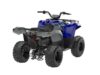 Stock image of 2026 Yamaha  Grizzly 110 Base product