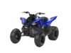 Stock image of 2026 Yamaha  Raptor 110 Base product