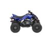 Stock image of 2026 Yamaha Raptor 110 Base product